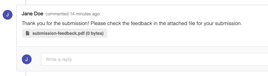 A submitted comment showing an attached file below the comment text